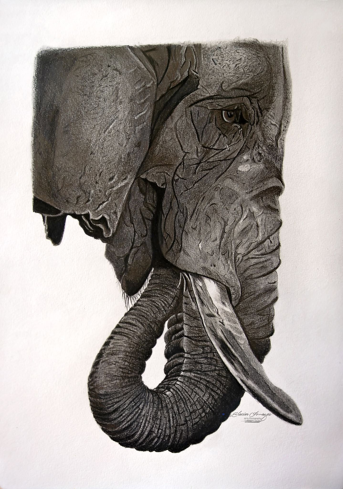 Memories pencil artwork