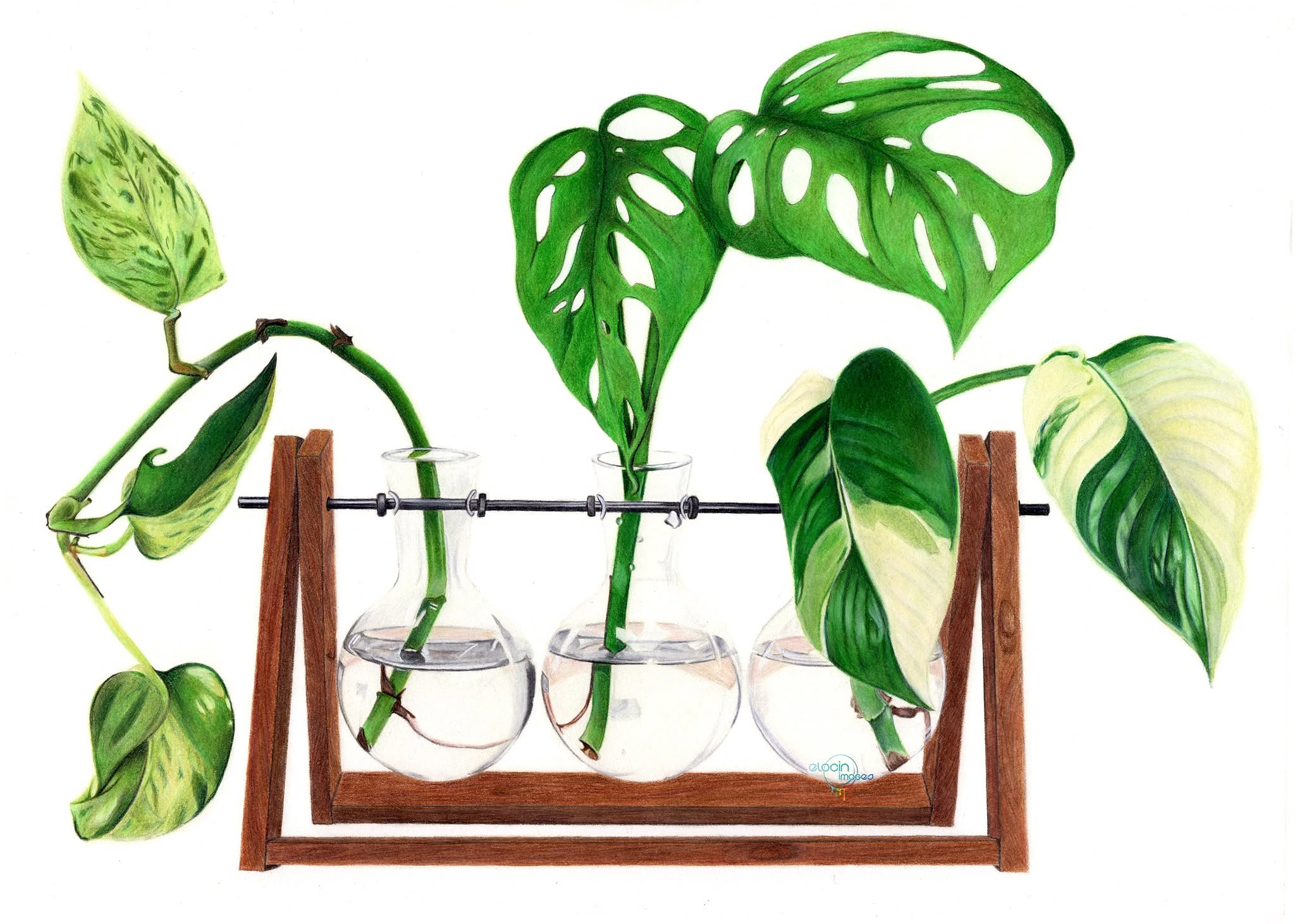 Propagation pencil artwork