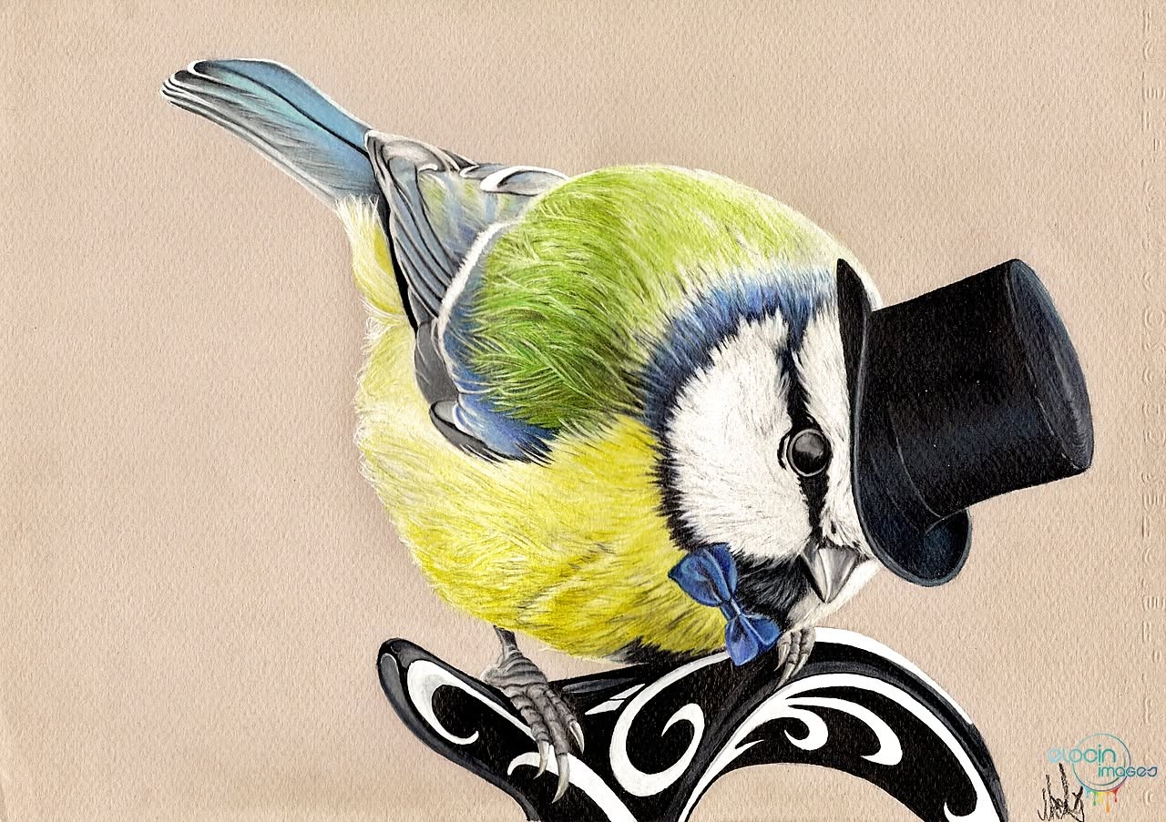 Sir Gentleborb pencil artwork